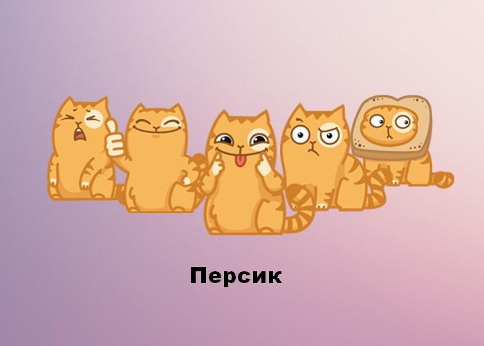 Стикеры кот Персик для Вконтакте